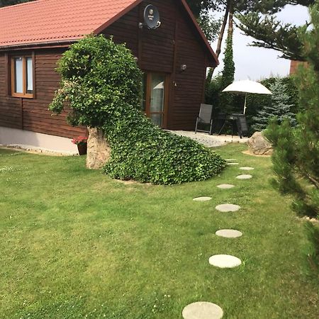 Agroturystyka Krajno - Zagórze Krajno-Zagorze Exterior foto
